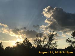 IMG_1271