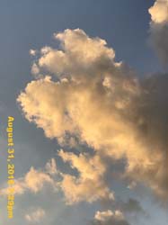 IMG_1286