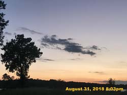 IMG_1294