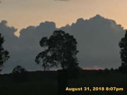 IMG_1296