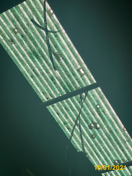 0002