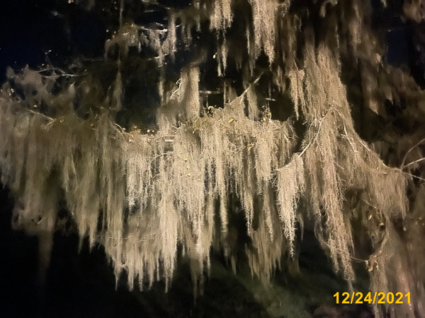 0822