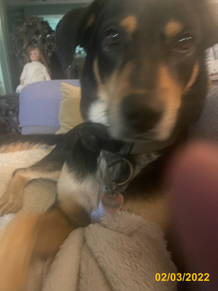 0227