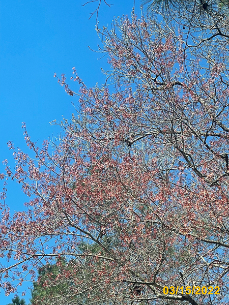 0514