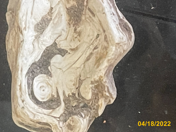 0534