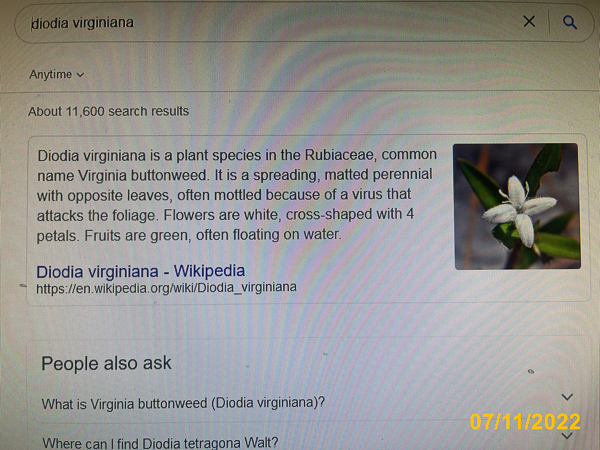 0996