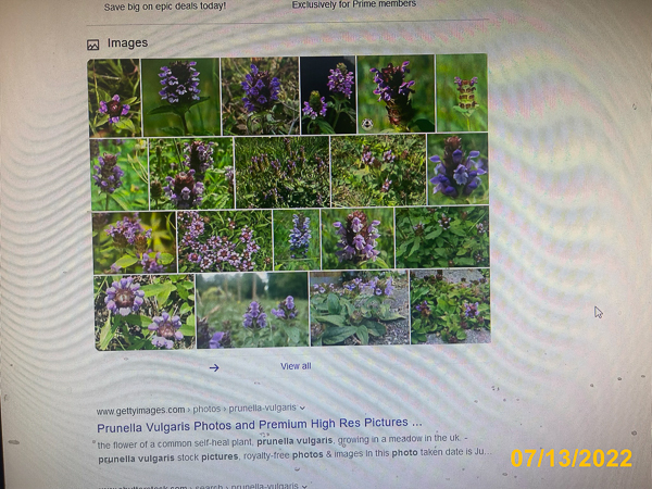 1082