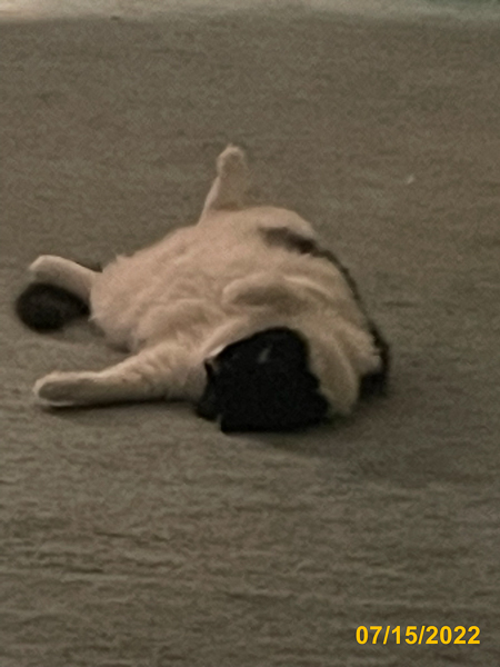 1204