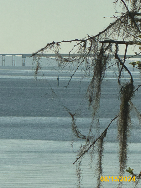 0231