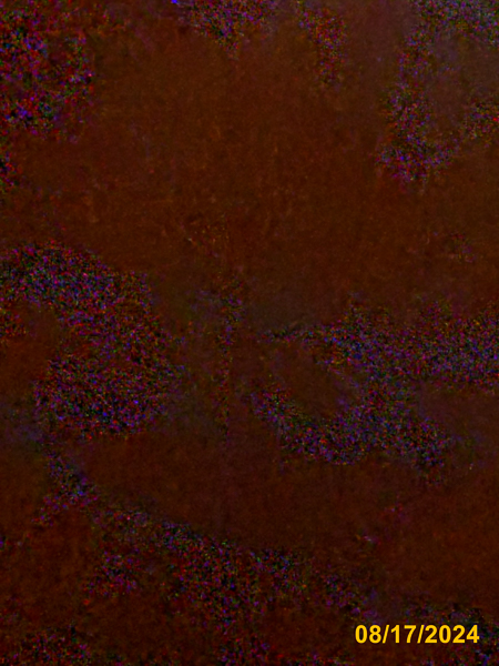 0331