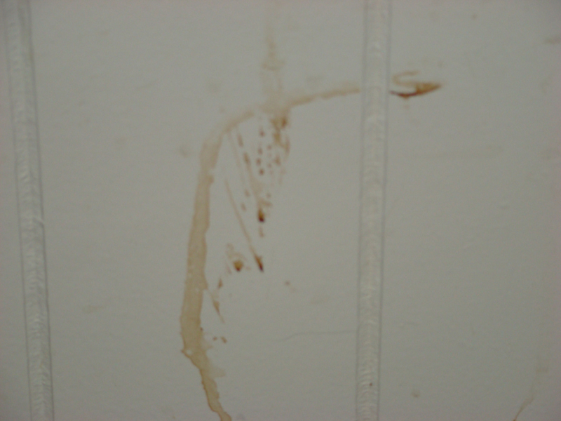 DSC01067