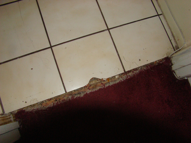 DSC01109