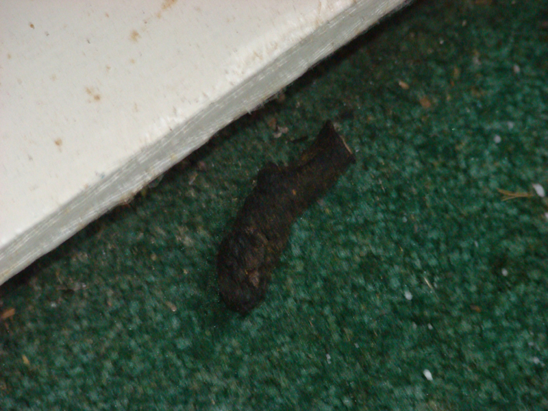 DSC01132