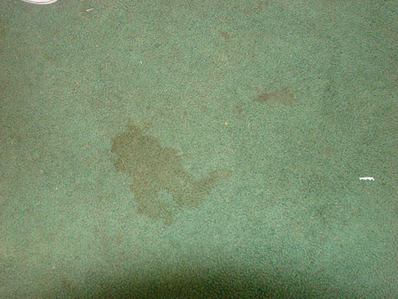 DSC01145