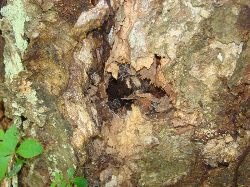 DSC01159
