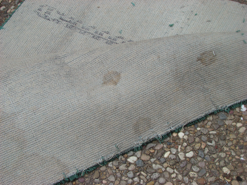 DSC01196