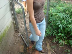 DSC01036