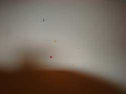 DSC01088
