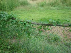 DSC01094