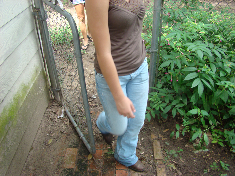 DSC01036