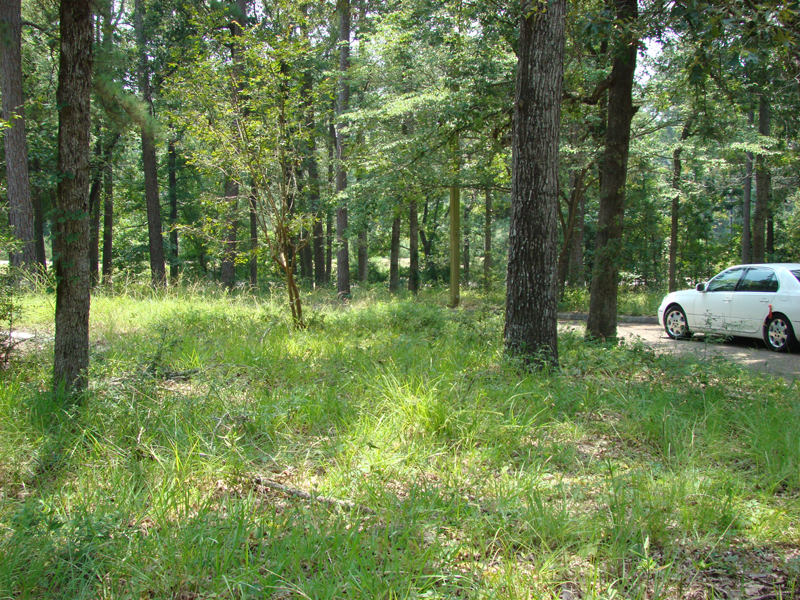 DSC00600