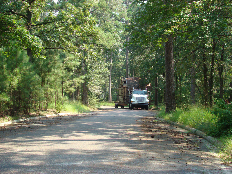 DSC00625