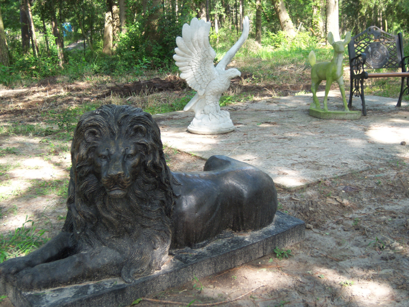 Picture021