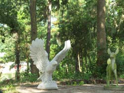 Picture027