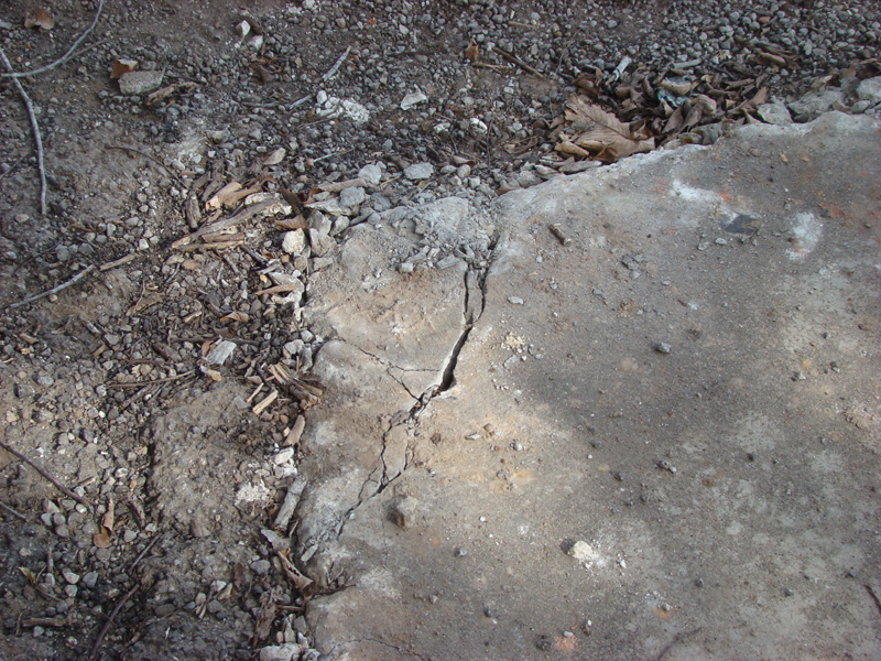 DSC01461