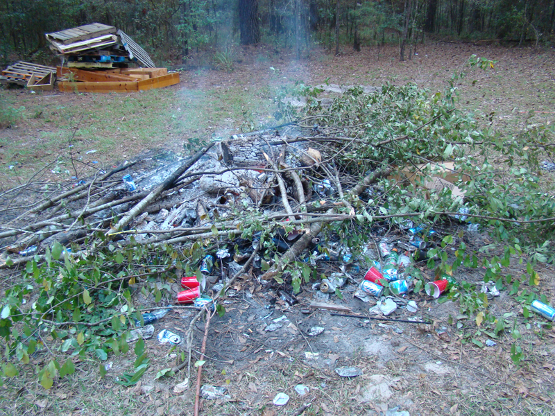 DSC00719