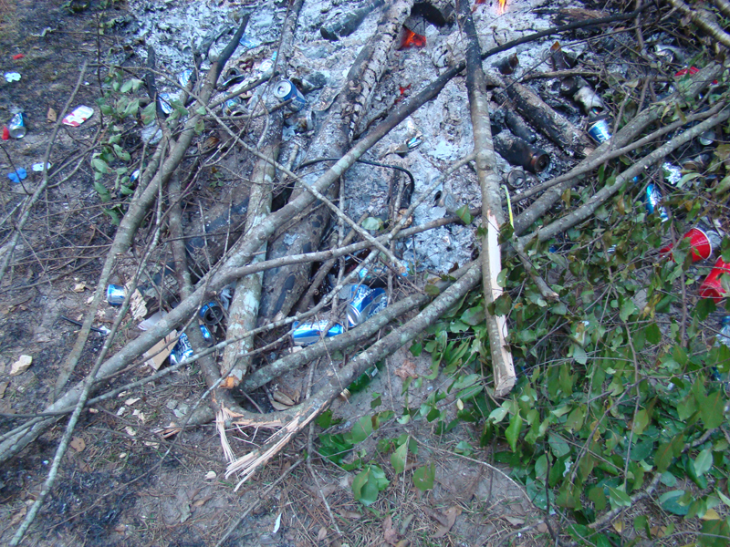 DSC00742