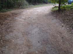 DSC00733