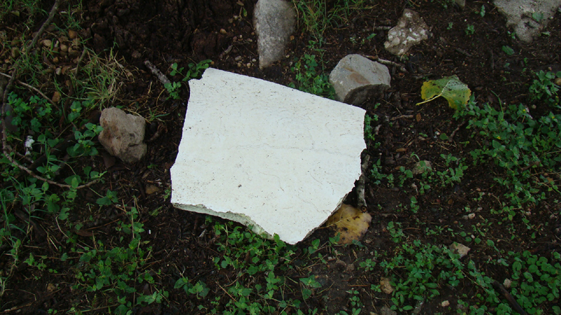 DSC01748