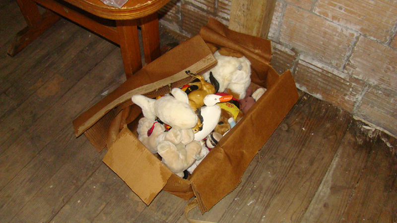 DSC01860