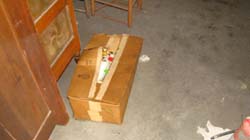 DSC01707