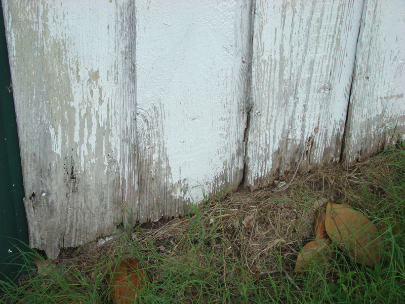 DSC04133