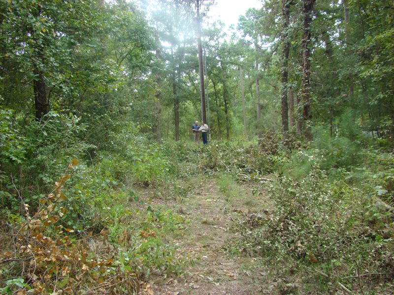 DSC06088