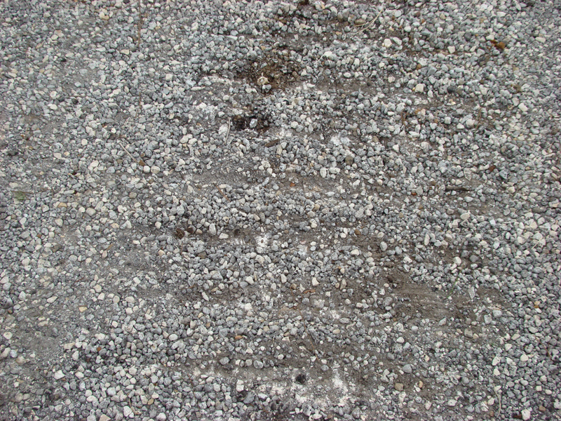 DSC06124