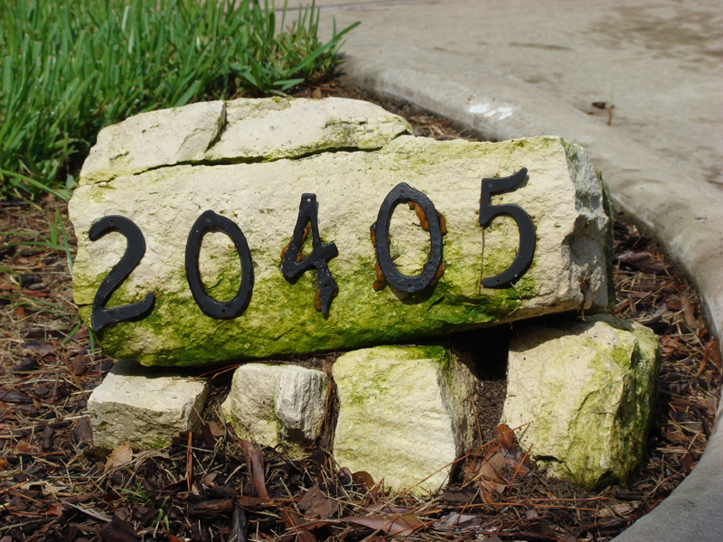 DSC05050