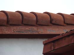 DSC05146