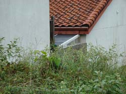 DSC05152