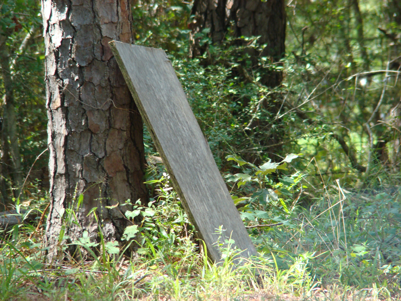 DSC05504