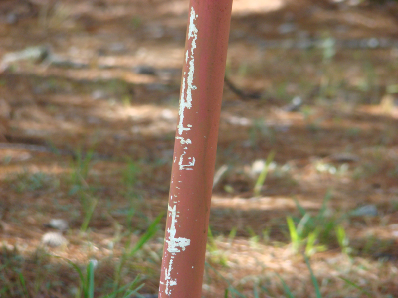 DSC05555