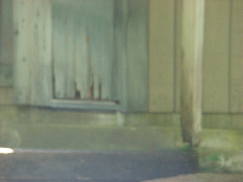 DSC05559