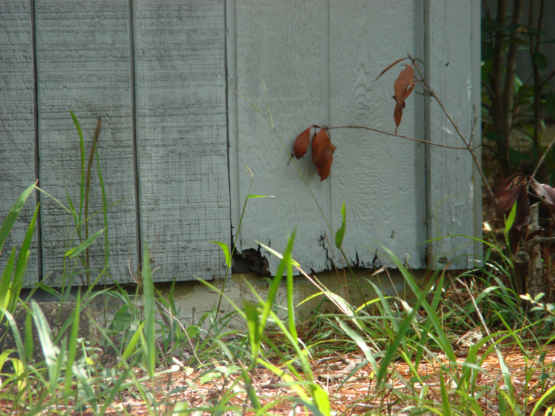 DSC05562