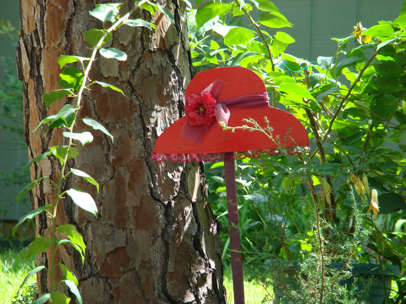 DSC05632