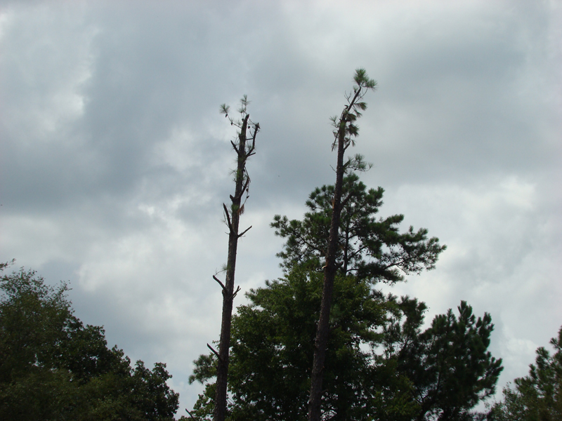 DSC05796