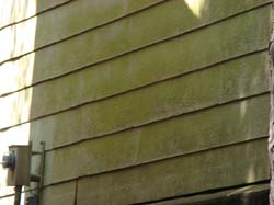 DSC05404