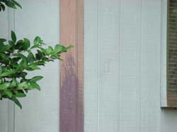 DSC05690