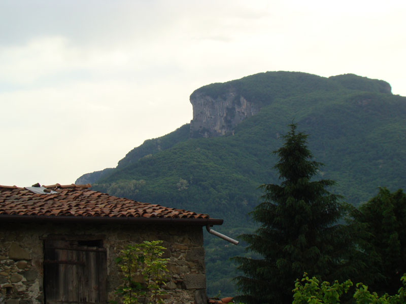 DSC02120
